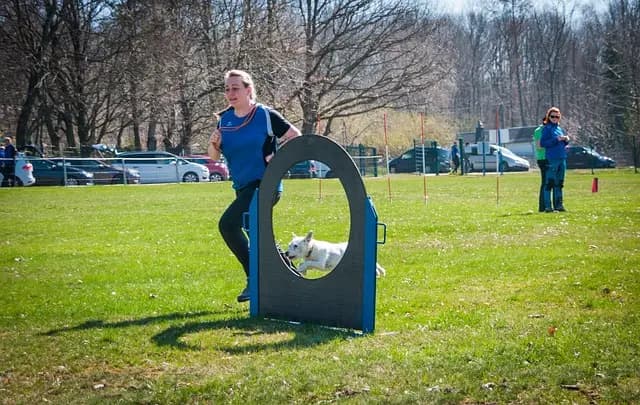Les parcours méconnus des footballeurs légendaires