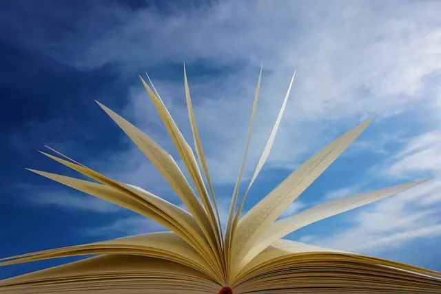 L'impact des biographies sur la perception des footballeurs